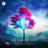 The Waking Call