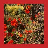 Slow Torture of an Hourly Wage