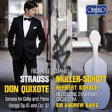 Don Quixote, op. 35, TrV 184: Thema: Don Quixote, der Ritter von der traurigen Gestalt
