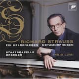 Ein Heldenleben, op. 40: I. Der Held