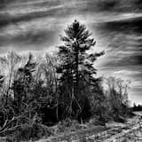 Road Movie Soundtrack (Crank Sturgeon extended dance remix)