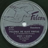 Paloma de alas pintas