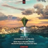 Meltdown (Devin Wild 2020 Kick edit)