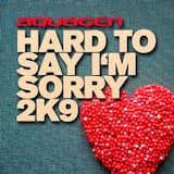 Hard To Say I'm Sorry 2k9 (Radio Edit)
