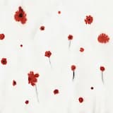 라오스에서 온 편지