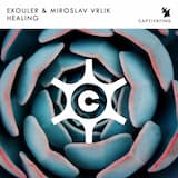 Healing (extended mix)