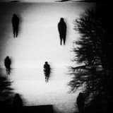 Of Hush and Surrender