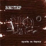 Крабы на берегу