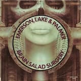 Brain Salad Surgery