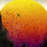 Wormholes Transmission III