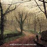 Walking Among Dead Trees