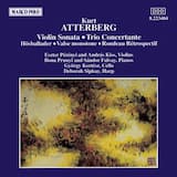 Sonata in B minor for Violin and Piano, op. 27: Allegro