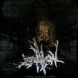 Fragmente der Ewigkeit