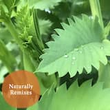 Naturally (Photay Remix)