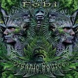 Archeological Artefacts