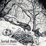 If You Could See the Way