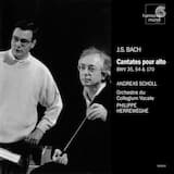 Der Rheinsche Wein (Krieger)