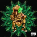 Heavyweight Spitterz