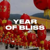 Year Of Bliss