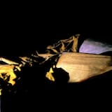 Dirt Under Your Nails