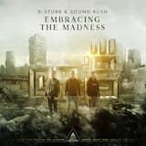 Embracing the Madness (extended mix)