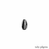 21 Tüten Sonnenblumenkerne