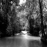 Le fleuve agonise…