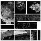 La Solidità de la Nebbia