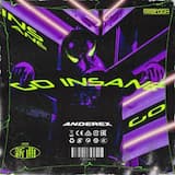 Go Insane (extended mix)