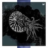 A Major Minor (D-Nox & Beckers Remix)