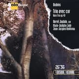 Horn Trio Op. 40 in E-flat major: I. Andante