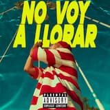 No Voy a Llorar