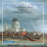 Symphony in D major, op. 7 no. 3, WKO 15: II. Andante sempre piano