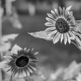 Happy Mother’s Day