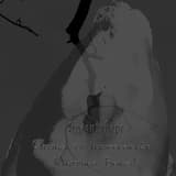 Calling to Indifference (Another Being)