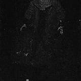 Solitude of Coffin Intrusion