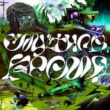 ОРГАНИЗАЦИЯ