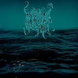 Submerged and Forgotten