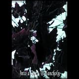 Desolation in My Mind (Intro)