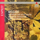 Symphony no. 40 in G minor, K. 550: I. Molto allegro