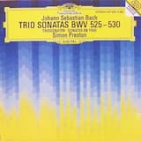 Sonata no. 1 in E-flat major, BWV 525: I. [without tempo indication]