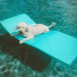 Sailing into the Sun