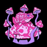 Reasons (Asquith’s Summer Terrace remix)