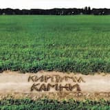 Слёзы и кровь