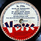 My Little Grass Shack in Kealakekua, Hawaii