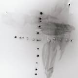 Tierra Oscura: Passacaglia