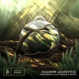 Shadow (acoustic)