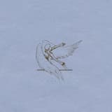 Waiting for the Crash