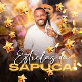 Estrelas da Sapucaí 2024