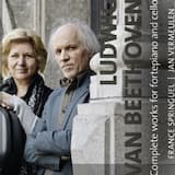 Sonata, op. 17 in F major: III. Allegro moderato